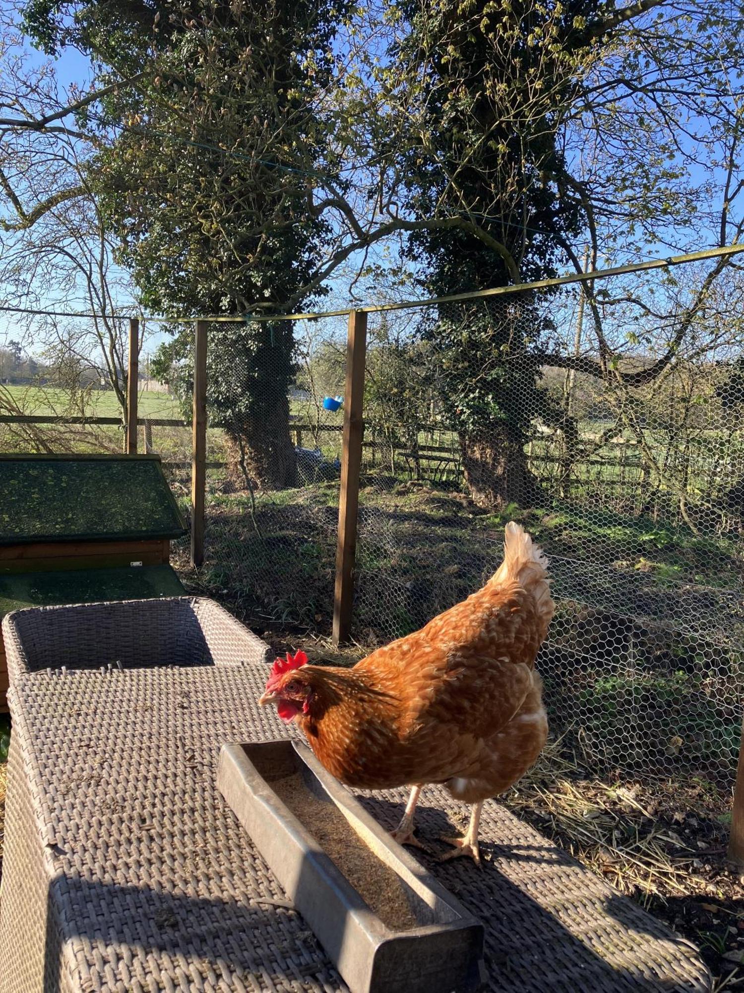Grange Farm Bed & Breakfast Thetford Luaran gambar